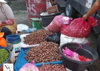Pasar Bawah Bukittinggi: Harga Bahan Pangan Hari Ini