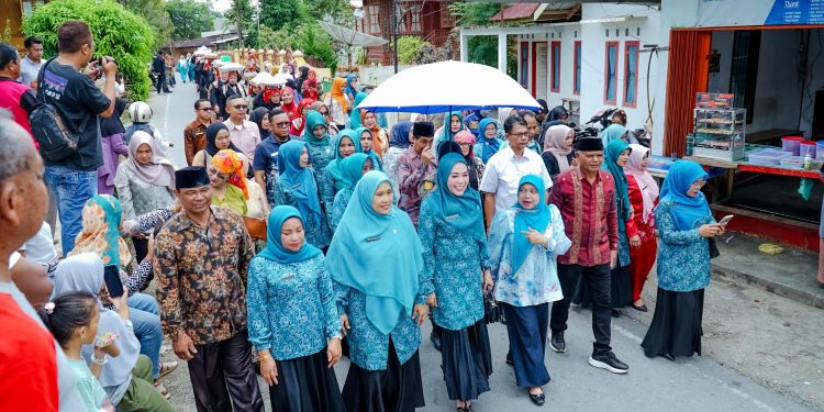 Penilaian Kader Posyandu Berprestasi Tingkat Kabupaten Solok Tahun 2024