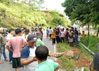 Maraknya Tambang Galian Tanah Uruk di By Pass Ngalau Kota Payakumbuh: Begini Tanggapan Dinas Lingkungan Hidup