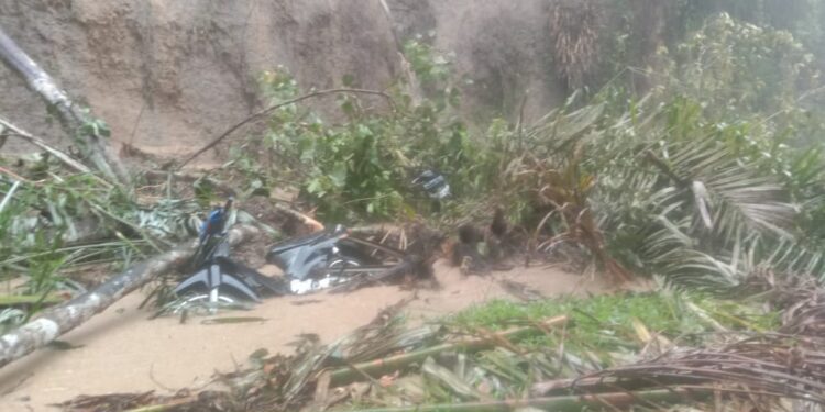 Tragedi Longsor di Sitinjau Lauik, 2 Penumpang Minibus Meninggal Dunia