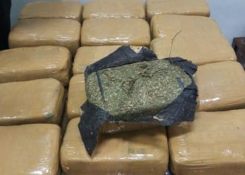 Geger, Penemuan Jasad Lansia di Sebuah Kebun