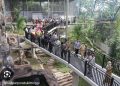 Aviary Terbesar di Asia Tenggara Ada di Kota Bukittinggi Salah Satunya