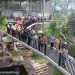 Aviary Terbesar di Asia Tenggara Ada di Kota Bukittinggi Salah Satunya