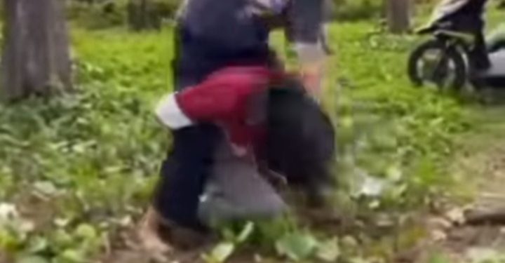 Kembali Beredar Video Bullying Anak Perempuan Viral di Pesisir Selatan