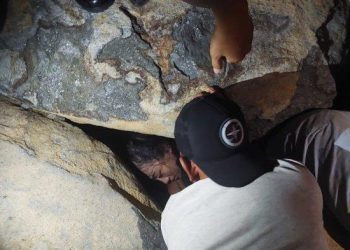 Viral Pencuri Terekam CCTV Saat Membobol Warung di Pakan Senayan Koto Nan 4