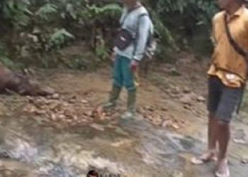 Kalah 0-2 Lawan Irak, Masih Berpeluang Lolos Piala Dunia, Shin Tae-yong Bela Jordi Amat Masih Layak Bela Timnaa