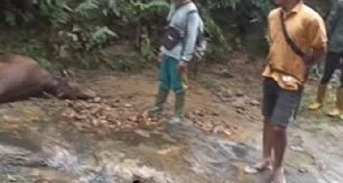 Kalah 0-2 Lawan Irak, Masih Berpeluang Lolos Piala Dunia, Shin Tae-yong Bela Jordi Amat Masih Layak Bela Timnaa