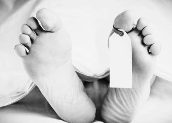 Nekat Sebarkan Gambar Tak Senonoh Mantan Kekasih Seorang Lelaki Asal Nagari Singgalang di Tangkap Jajaran Satreskrim