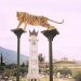 Melawan Lupa: Hubungan Erat antara Bukittinggi-Agam
