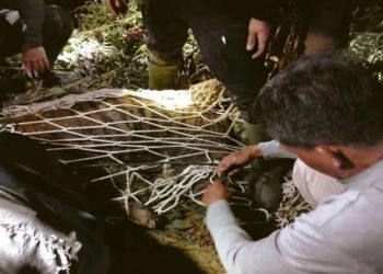 Polisi Tangkap Remaja Perempuan 16 Tahun di Padang karena Promosikan Judi Online