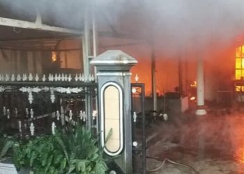 Kecelakaan Lalu Lintas di Padang-Painan, Libatkan Bus dan Minibus