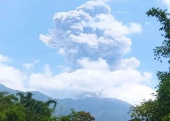Polisi Padang Tangkap Pengedar Sabu dengan 17 Paket Siap Edar