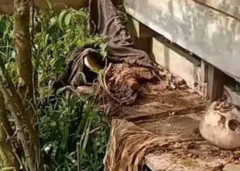 Penemuan Kerangka Manusia di Gubuk Gegerkan Warga di Lima Puluh Kota