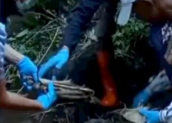 Anggota DPRD Bukittinggi Bungkam soal Video Viral di TikTok