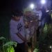 Nenek di Padang yang Hilang Saat Mencari Pakis Ditemukan Linglung 1,5 Kilometer dari Lokasi Awal