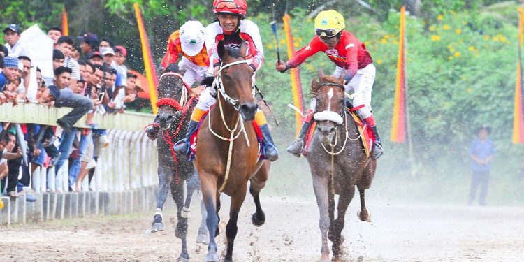 Kejuaraan Pacuan Kuda Piala Gubernur Sumbar Akan Digelar di Payakumbuh pada Oktober 2024