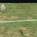 Kondisi Stadion Utama Sumbar Disorot: Lumpur dan Ular Muncul Sebelum Laga Liga 1