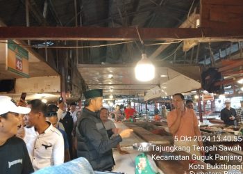 Erman Safar Disambut Antusiasme Masyarakat Saat Blusukan di Pasar Bawah