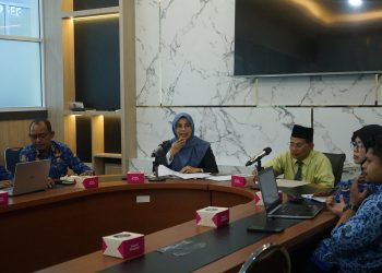 Penilaian Interview Evaluasi SPBE Kabupaten Solok Tahun 2024