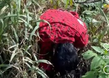 Operasi Zebra Singgalang 2024 Dimulai, Fokus pada Keselamatan Lalu Lintas di Sumatera Barat