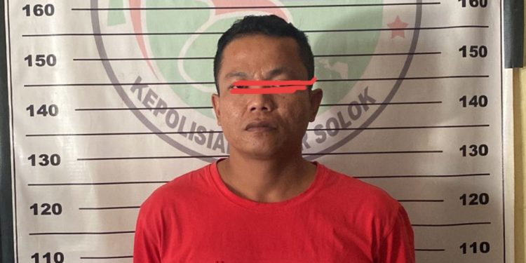 Simpan Ganja di Almari, Pemuda Sukarami Ditangkap Tim Spider Solok