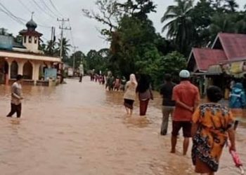 Bawaslu Bukittinggi: Tertibkan APK Pasangan Calon Pilkada Yang Langgar Aturan Pemasangan APK