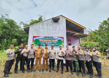 Program Nasional, Kapolsekta Bersama Camat MKS dan Danramil 01 Tanam Jagung 1 Juta Hektare di Bukittinggi
