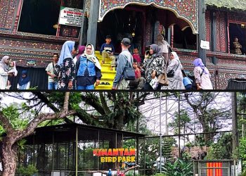 Museum Rumah Adat Baanjuang dan Aviary Terbesar Asia Tenggara Jadi Daya Tarik Wisata Bukittinggi