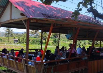 SYAHDU: Bersantap Sambil Menikmati Hamparan Sawah di Simpang Aur Kuning, Payakumbuh