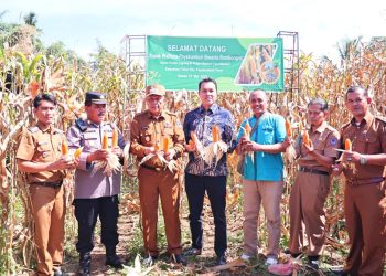 Pemko Payakumbuh Dorong Pemanfaatan Lahan Tidur untuk Ketahanan Pangan dan Ekonomi Warga