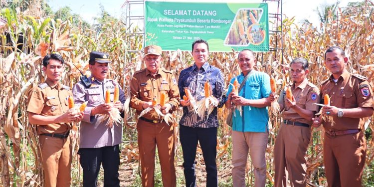Pemko Payakumbuh Dorong Pemanfaatan Lahan Tidur untuk Ketahanan Pangan dan Ekonomi Warga