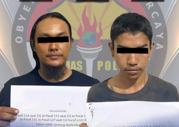 Ringkus Dua Tersangka, Sat Narkoba Polres Payakumbuh Amankan 3,8 Kg Ganja