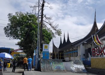 Pohon Besar “Dibotakin” DLH Bukittinggi