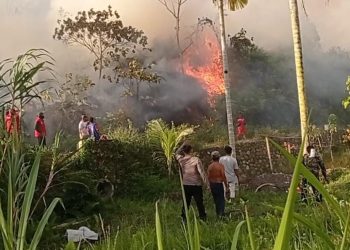 BPBD Limapuluh Kota Duga Kebakaran Hutan Dan Lahan Dipicu Kelalaian Masyarakat