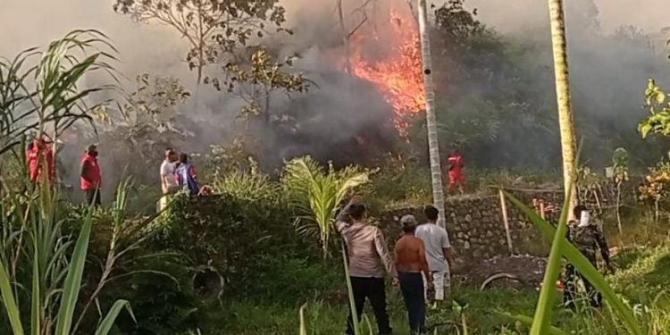 BPBD Limapuluh Kota Duga Kebakaran Hutan Dan Lahan Dipicu Kelalaian Masyarakat