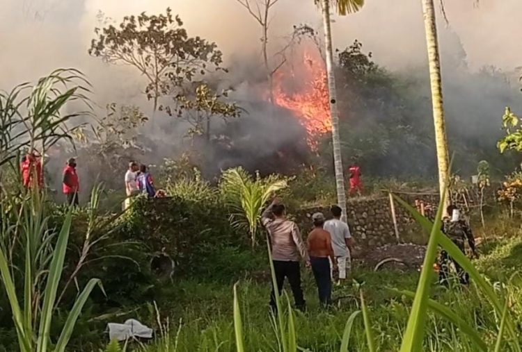 BPBD Limapuluh Kota Duga Kebakaran Hutan Dan Lahan Dipicu Kelalaian Masyarakat