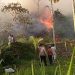 BPBD Limapuluh Kota Duga Kebakaran Hutan Dan Lahan Dipicu Kelalaian Masyarakat
