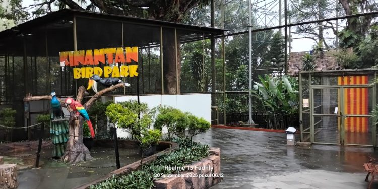 Aviary Kinantan, Sangkar Burung Raksasa yang Jadi Magnet Wisata Bukittinggi