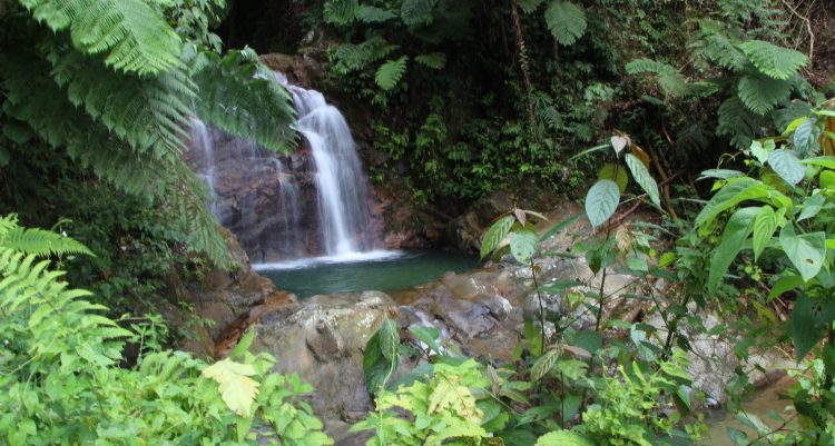 5 Air Terjun Tersembunyi di Kaki Gunung yang Wajib Kamu Kunjungi di Sekitar Padang