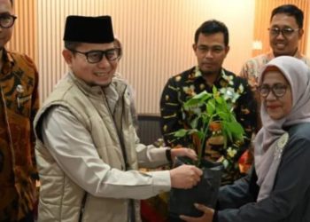 Dinas Pertanian Kota Bukittinggi Salurkan Bibit Cabai kepada Dasawisma dan TP-PKK