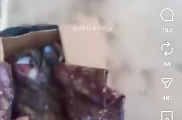 Bayi Perempuan Ditemukan Dalam Kardus di Gadut Bukittinggi
