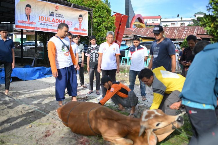 Lima Sapi, Satu Drama Pelarian pada Qurban PKS Bukittinggi