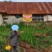 Enam Tahun Menempuh Jalur Hukum, Sengketa Tanah Pusaka Tinggi di Nagari Sungai Kamuyang Berakhir Inkrah