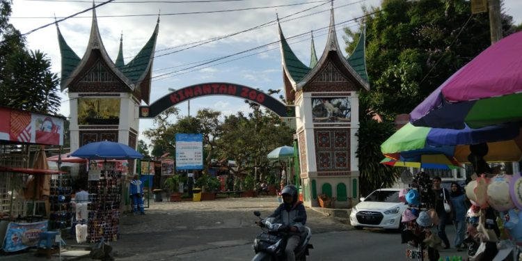 Polemik 30 Kios di TMSBK Bukittinggi Jadi Isu Publik