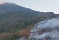 Kebakaran hutan dan lahan di lereng Gunung Ciremai, Kabupaten Kuningan. (Foto: ANTARA/HO BPBD Kabupaten Kuningan)