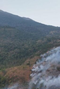 Karhutla Gunung Ciremai Masih Membara di 10 Titik