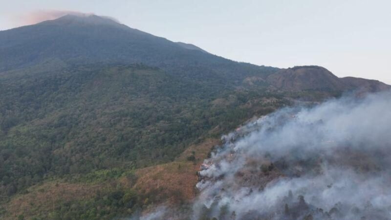 Kebakaran hutan dan lahan di lereng Gunung Ciremai, Kabupaten Kuningan. (Foto: ANTARA/HO BPBD Kabupaten Kuningan)