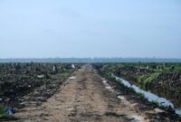 Karhutla Dharmasraya: LBH Padang Desak Usut Lahan Sawit. (Foto: Wikimedia Commons)