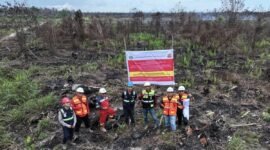 Tersangka Karhutla, Kemenhut Jerat PT MAP dan PT GAP. (Foto: Dok. ANTARA)