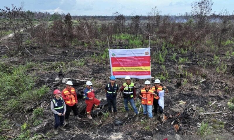 Tersangka Karhutla, Kemenhut Jerat PT MAP dan PT GAP. (Foto: Dok. ANTARA)